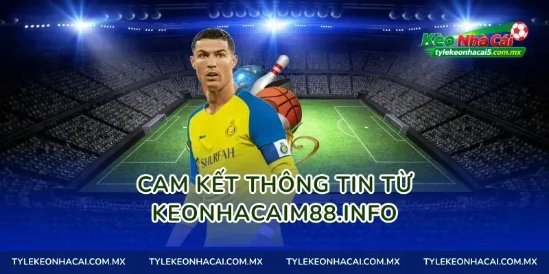 Cam kết thông tin từ playtetris.io
