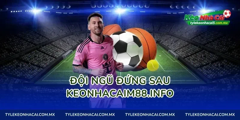 Đội ngũ đứng sau playtetris.io