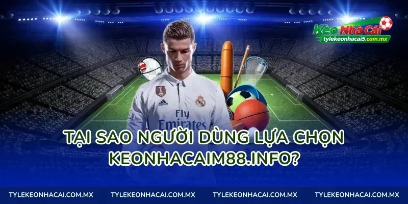 Tại sao người dùng lựa chọn playtetris.io?