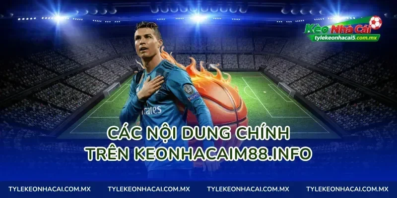 Các nội dung chính trên playtetris.io